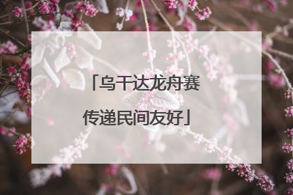 乌干达龙舟赛传递民间友好