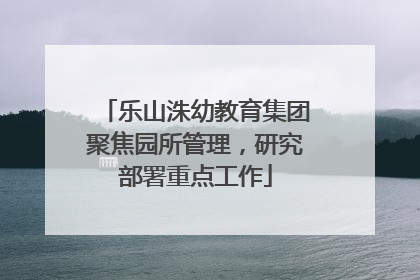 乐山洙幼教育集团聚焦园所管理，研究部署重点工作