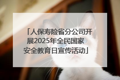 人保寿险省分公司开展2025年全民国家安全教育日宣传活动