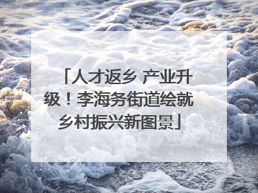 人才返乡 产业升级！李海务街道绘就乡村振兴新图景