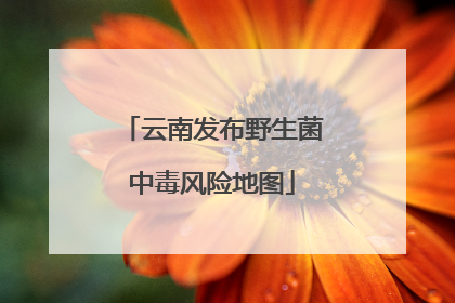 云南发布野生菌中毒风险地图