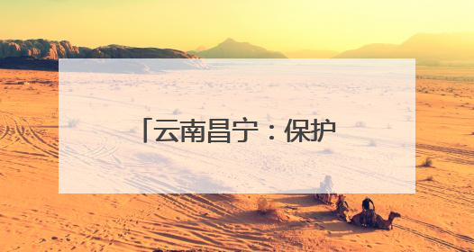 云南昌宁：保护区内珍稀野生动物频频“出镜”