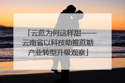 云蔗为何这样甜——云南省以科技助推蔗糖产业转型升级观察