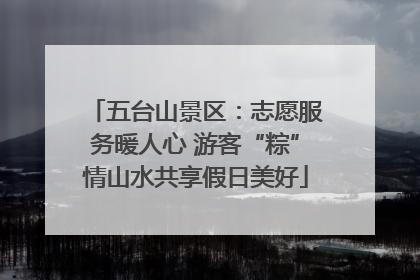 五台山景区：志愿服务暖人心 游客“粽”情山水共享假日美好
