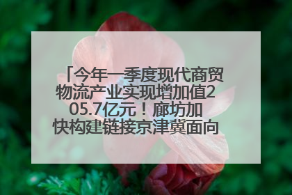 今年一季度现代商贸物流产业实现增加值205.7亿元！廊坊加快构建链接京津冀面向全世界的物流通道
