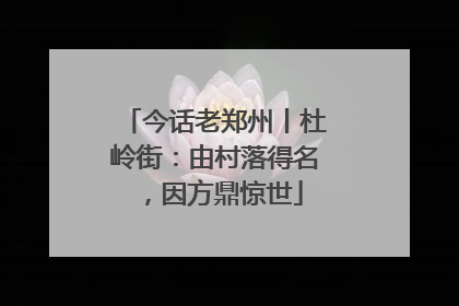 今话老郑州丨杜岭街：由村落得名，因方鼎惊世