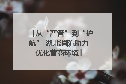 从“严管”到“护航” 湖北消防助力优化营商环境
