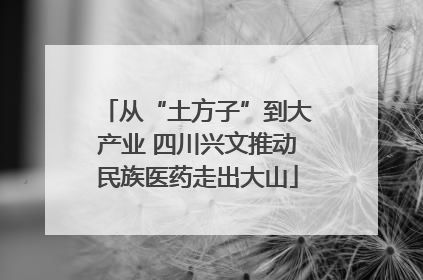 从“土方子”到大产业 四川兴文推动民族医药走出大山