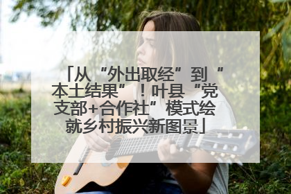 从“外出取经”到“本土结果”！叶县“党支部+合作社”模式绘就乡村振兴新图景