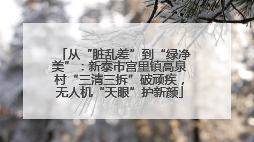 从“脏乱差”到“绿净美”：新泰市宫里镇高泉村“三清三拆”破顽疾，无人机“天眼”护新颜