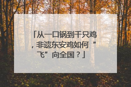 从一口锅到千只鸡，非遗东安鸡如何“飞”向全国？