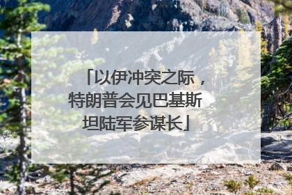 以伊冲突之际，特朗普会见巴基斯坦陆军参谋长