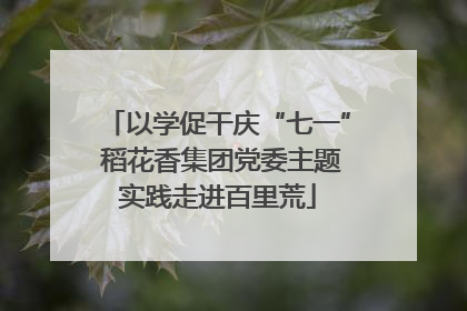 以学促干庆“七一” 稻花香集团党委主题实践走进百里荒