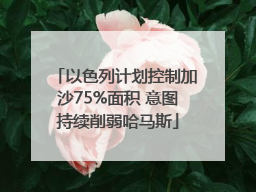 以色列计划控制加沙75%面积 意图持续削弱哈马斯
