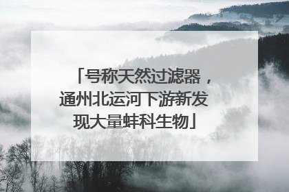 号称天然过滤器，通州北运河下游新发现大量蚌科生物