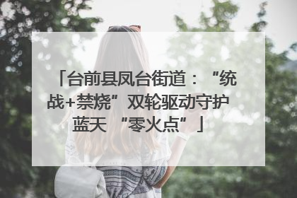 台前县凤台街道：“统战+禁烧”双轮驱动守护蓝天 “零火点”