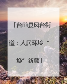 台前县凤台街道：人居环境“焕”新颜