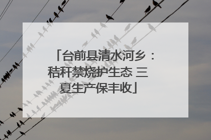 台前县清水河乡：秸秆禁烧护生态 三夏生产保丰收