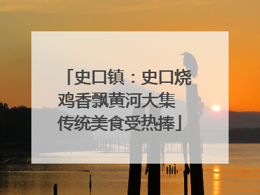 史口镇：史口烧鸡香飘黄河大集 传统美食受热捧