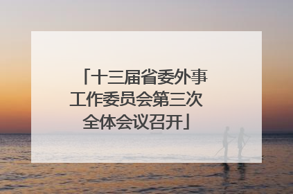 十三届省委外事工作委员会第三次全体会议召开