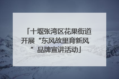 十堰张湾区花果街道开展“东风故里育新风”品牌宣讲活动
