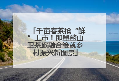 千亩春茶抢“鲜”上市！即墨鳌山卫茶旅融合绘就乡村振兴新图景