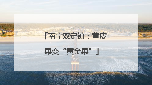 南宁双定镇：黄皮果变“黄金果”