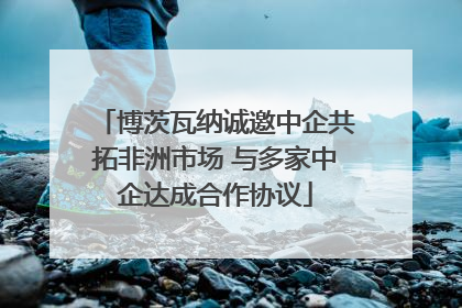 博茨瓦纳诚邀中企共拓非洲市场 与多家中企达成合作协议