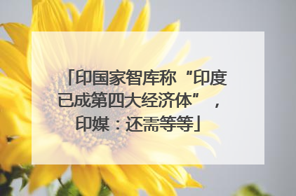 印国家智库称“印度已成第四大经济体”，印媒：还需等等