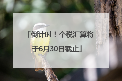 倒计时！个税汇算将于6月30日截止