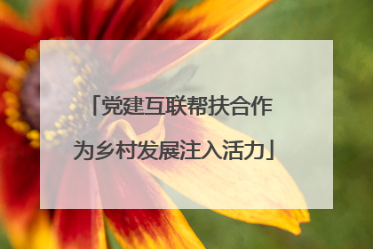 党建互联帮扶合作 为乡村发展注入活力