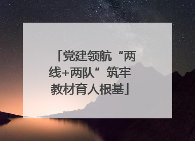 党建领航“两线+两队”筑牢教材育人根基
