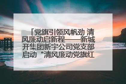 党旗引领风帆劲 清风廉动启新程——新城开集团新宇公司党支部启动“清风廉动党旗红”系列活动