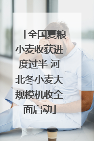全国夏粮小麦收获进度过半 河北冬小麦大规模机收全面启动