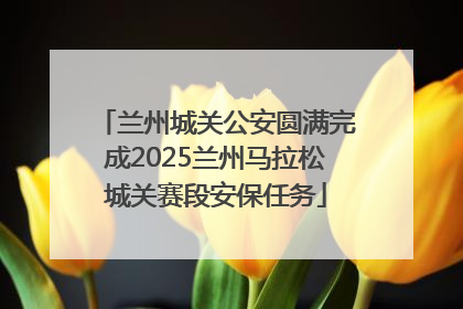 兰州城关公安圆满完成2025兰州马拉松城关赛段安保任务