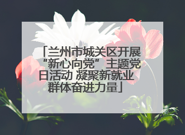 兰州市城关区开展“新心向党”主题党日活动 凝聚新就业群体奋进力量