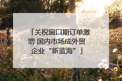 关税窗口期订单激增 国内市场成外贸企业“新蓝海”