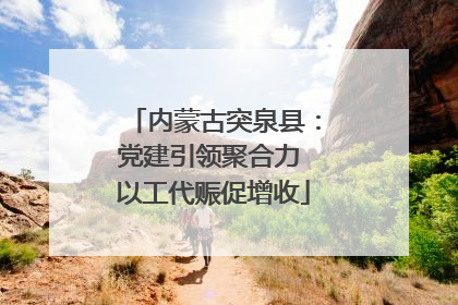 内蒙古突泉县：党建引领聚合力 以工代赈促增收