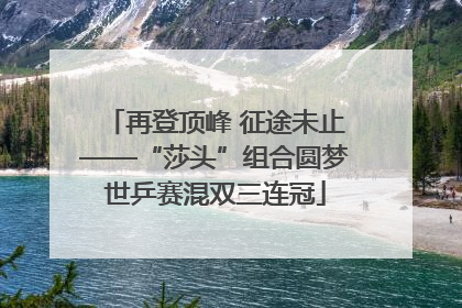 再登顶峰 征途未止——“莎头”组合圆梦世乒赛混双三连冠
