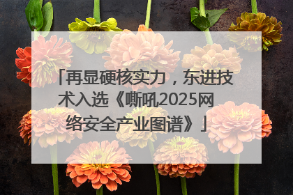 再显硬核实力，东进技术入选《嘶吼2025网络安全产业图谱》