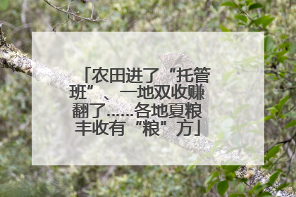 农田进了“托管班”、一地双收赚翻了……各地夏粮丰收有“粮”方