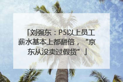 刘强东：P5以上员工薪水基本上都翻倍，“京东从没卖过假货”