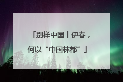 别样中国丨伊春，何以“中国林都”