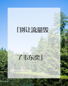 别让流量毁了韦东奕