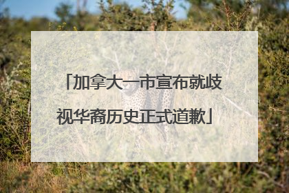 加拿大一市宣布就歧视华裔历史正式道歉
