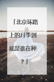 北京环路上的月季到底是谁在种？