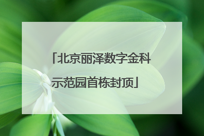 北京丽泽数字金科示范园首栋封顶