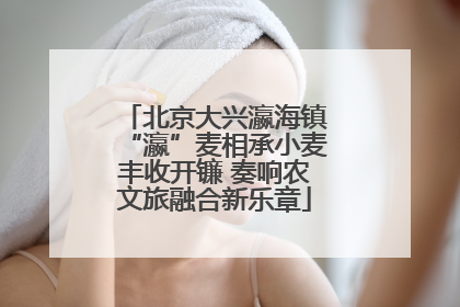 北京大兴瀛海镇“瀛”麦相承小麦丰收开镰 奏响农文旅融合新乐章