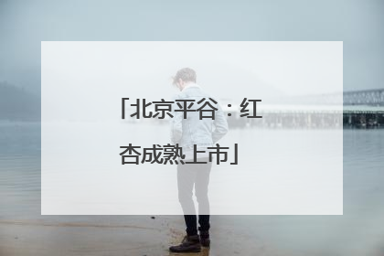 北京平谷：红杏成熟上市