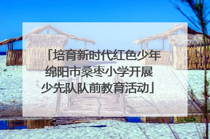 培育新时代红色少年 绵阳市桑枣小学开展少先队队前教育活动